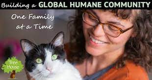 Tree House Humane Society Introducing A New Cat Humane Society Tree House