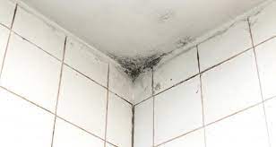 Duşakabin ya da küvet içinde oluşan küfleri, üzerinde çamaşır suyu ya da temizleyiciler döküp silerek temizleyebilirsiniz. Banyodaki Kuf Nasil Temizlenir