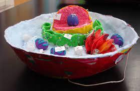 Of course, you can buy a plastic cell model online. Animal Cell Made Of Plaster Of Paris Plate Filled With Parts Made From A Variety Of Materials From 2007 Cell Model Project Cell Model Animal Cell