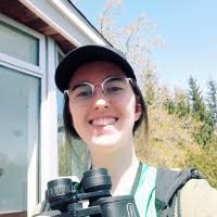 100+ 'Klement' profiles