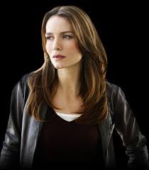 Criminal intent focuses on the investigations of the major case squad in a fictionalized. Law Order Criminal Intent Serena Stevens Law And Order Saffron Burrows Criminal