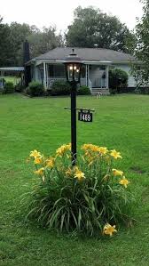 Lillies And Light Pole Light Post Landscaping Outdoor Landscape Lighting Mailbox Landscaping