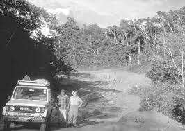 Image result for Cassipourea fanshawei