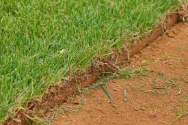 We did not find results for: Central Sod Farms Inc Project Photos Reviews Centreville Md Us Houzz