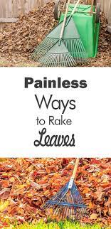 Painless Ways To Rake Leaves 101 Days Of Organization Rake Leaves Raking Leaf Tips Yard Clean Up Yard Clean Up Raking Leaves Yard Cleaning Leaf Clean Up
