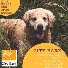 See what lisa parker (lisap0613) has discovered on pinterest, the world's biggest collection of ideas. City Bark Parker Home Facebook