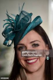 488 Leopardstown Racecourse Co Stock Photos, High-Res Pictures, and Images 