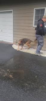 Becky Pursley (@beckypursley)’s videos with Mission Impossible Theme (Movie  Trailer Mix)