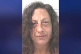 Woman allegedly admitted to using meth and not sleeping for more than 24  hours after being pulled over in Buckhannon