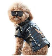 Chopperscool On Twitter Dog Jacket Dog Clothes Dog Winter Coat