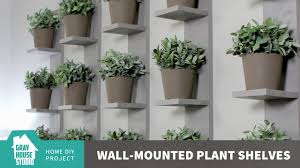 Diy tip of the day: Wall Mounted Plant Shelves Youtube