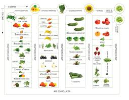 Potager Pour 4 2 Adultes Et 2 Enfants Jardin Couvert Plan Potager Blog Jardin