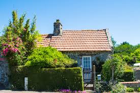 Viele unserer niederländischen ferienhäuser verfügen über einen stabil und gut eingezäunten garten. Ferienhaus Mit Hund Chiennormandie Urlaub Mit Hund In Der Normandie