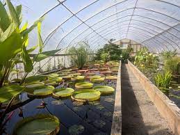 This review is the subjective opinion of a tripadvisor member and not of tripadvisor llc. Beautifully Layed Out And Lots Of Variety Review Of Hughes Water Gardens Tualatin Or Tripadvisor