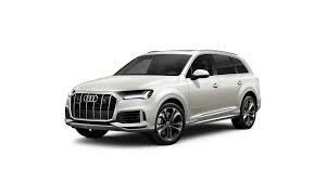 Image result for Vicuna Beige 2022 SQ7