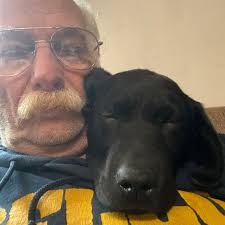 Attempted bike theft near police office in Sharon Hill