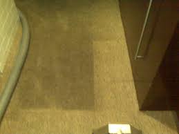 services south jersey carpet cleaning