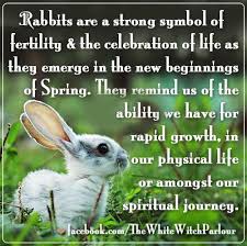 Do you need help hatching a plan? Rabbit Bunny Meaning Symbolism About Magick Magickal Metaphysical Spiritual Enlightening Spells Fer Animal Spirit Guides Love Psychic Online Psychic
