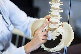 Osteochondrose Anzeichen Ursachen Therapie Reha