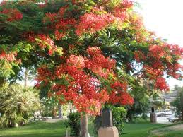 Maybe you would like to learn more about one of these? Garden Hotel Ab 68 1 0 3 Bewertungen Fotos Preisvergleich Dusseldorf Tripadvisor