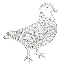 Find high quality pigeon coloring page, all coloring page images can be downloaded for free for personal use only. Zentangle Stylized Pigeon For Coloring Stock Vector Colourbox