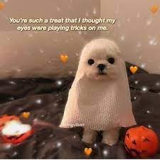 It S Almost Spooky Season Cute Love Memes Wholesome Memes Cute Memes