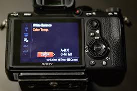 I'm gonna lie, it's not the most exciting camera i've had, it's not really fun to use, nor does it inspire to shoot more or bring it with you everywhere you go (it's also pretty big when combined with fast f1.4 lenses). Ultimate Setup Guide For Sony Shooting Wedding Photographers