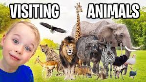 Gaby pretend play cooking food with BBQ Grill Toy Playset