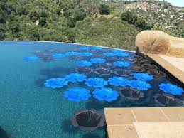 Maybe you would like to learn more about one of these? These Solar Panel Flowers Heat Up Your Pool By Absorbing Sunlight So Your Pool Is Always Warm