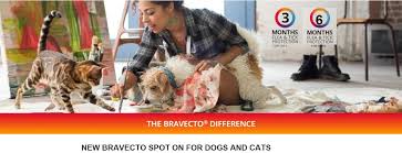 Total pet supply is your destination for high quality and discount pet meds online. Discount Pet Meds Pet Pharmacy Care For Your Pet Health