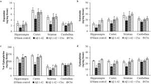 Dr alpha male bab 1 wattpad. Neuroprotective Effects Of Carbenoxolone Against Amyloid Beta 1 42 Oligomer Induced Neuroinflammation And Cognitive Decline In Rats Sciencedirect