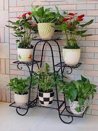 Hugedomains Com Indoor Flowers Indoor Flower Pots Metal Flower Pots