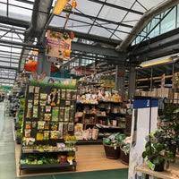 Spa programs might include a candlelit soak, a scrub using garden produce, and a music therapy session. Migros Do It Garden Carouge Geneve