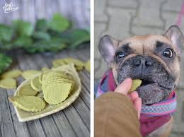 Rezept Spinat Parmesan Kekse Fur Hunde Hunde Kekse Rezept Hunde Kuchen Hundekekse