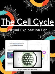 Lifescitrc org cells alive meiosis phase worksheet. Answer Key Cells Alive Worksheets Teaching Resources Tpt