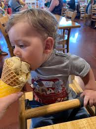 Visiting Fulton Farms and Young's Dairy Farm near Troy and Yellow Springs,  OH