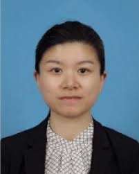 From lab to fab: solution-processed top electrodes for commercializing  perovskite solar cells