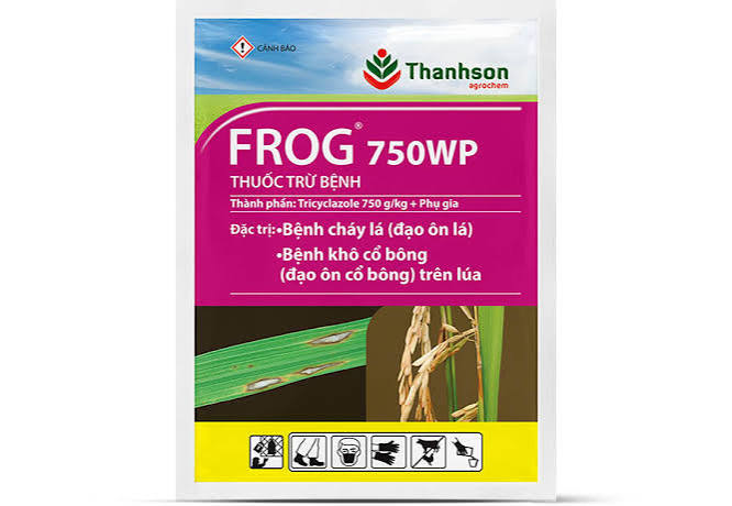 Frog 750WP