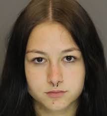 Hanover woman faces charges after allegedly spitting in officer's eye:  police