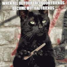 Via Giphy Funny Grumpy Cat Memes Grumpy Cat Quotes Funny Cat Memes