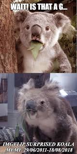 Pin On Memes Jokes And Funny Images Mainly Made By Me With A Few Others Mixed In