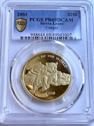 Image result for Gold 2001 Sierra