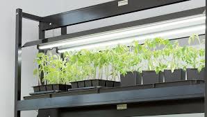 The problem with this logic is that plants don't need light that looks white to us, nor do they need light that mimics the sun. How To Choose An Led Grow Light Gardener S Supply