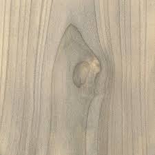 Southern Magnolia Magnolia Grandiflora Burled Wood Wood Texture Wood