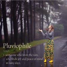 Pin By Tricia Lakhansingh On Verbatim Rainy Day Quotes Love Rain Weather Quotes