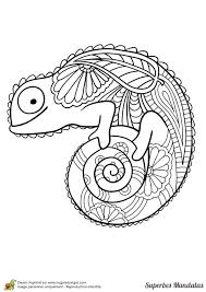 Voici nos différents thèmes de mandalas pour enfants et adultes à imprimer et colorier. Ausmalbilder Zum Ausdrucken Hugolescargot Mandala Best Of Ausmalbilder D A Superb Mand Coloriage Mandala Coloriage Mandala Animaux Coloriage Mandala A Imprimer