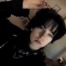 Is Marley's behavior towards cats prey instinct or play?