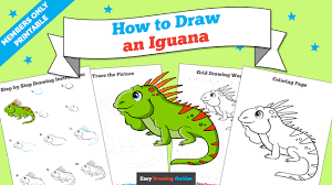 This guy has lots of scales, a long curly tail and a big smile on his face! How To Draw An Iguana Really Easy Drawing Tutorial