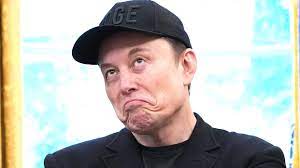 Elon Musk Shares Surprise Take on Trump's Jeffrey Epstein Mess