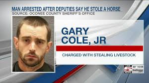 SC man steals horse, hides it in bedroom, deputies say